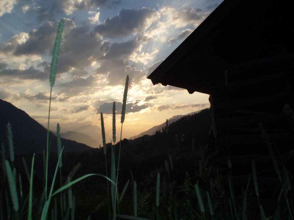 Hotel Wiese Sankt Leonhard im Pitztal Esterno foto
